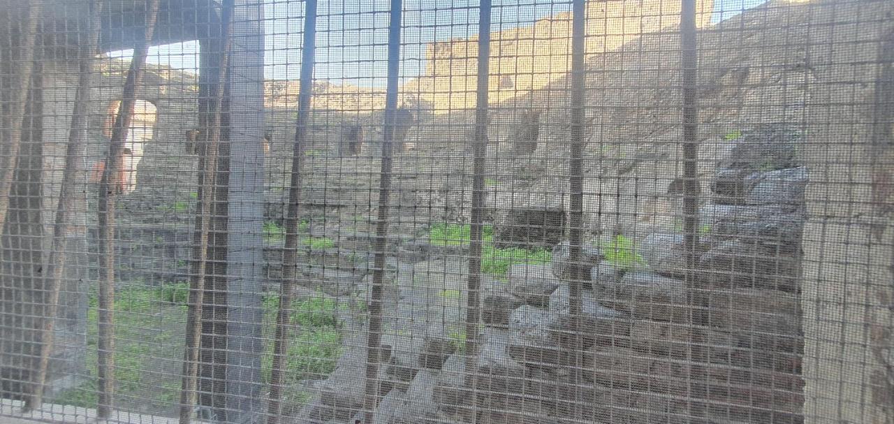 Domus Odeon La Casa Nel Parco Archeologico Di Catania Daire Dış mekan fotoğraf